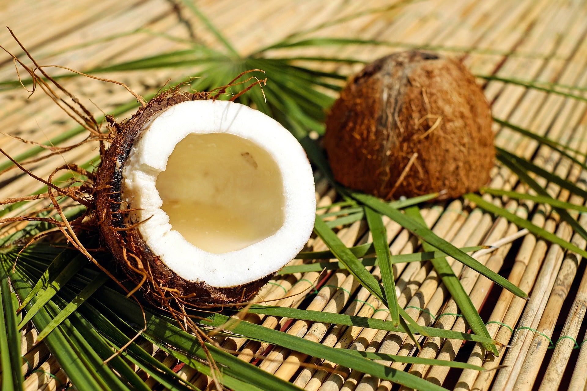 IS COCONUT A NUT?